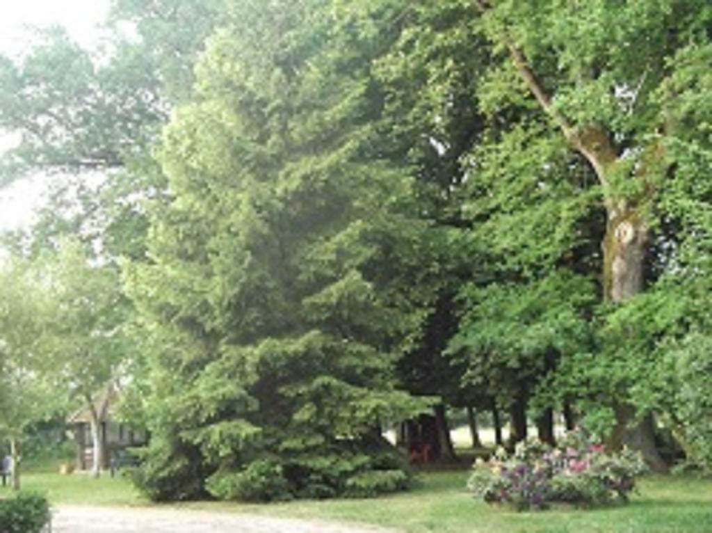 Domaine Des Parisses - Chambres D'Hotes Gennetines Δωμάτιο φωτογραφία
